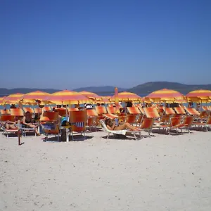 Actinia , Alguer Italia